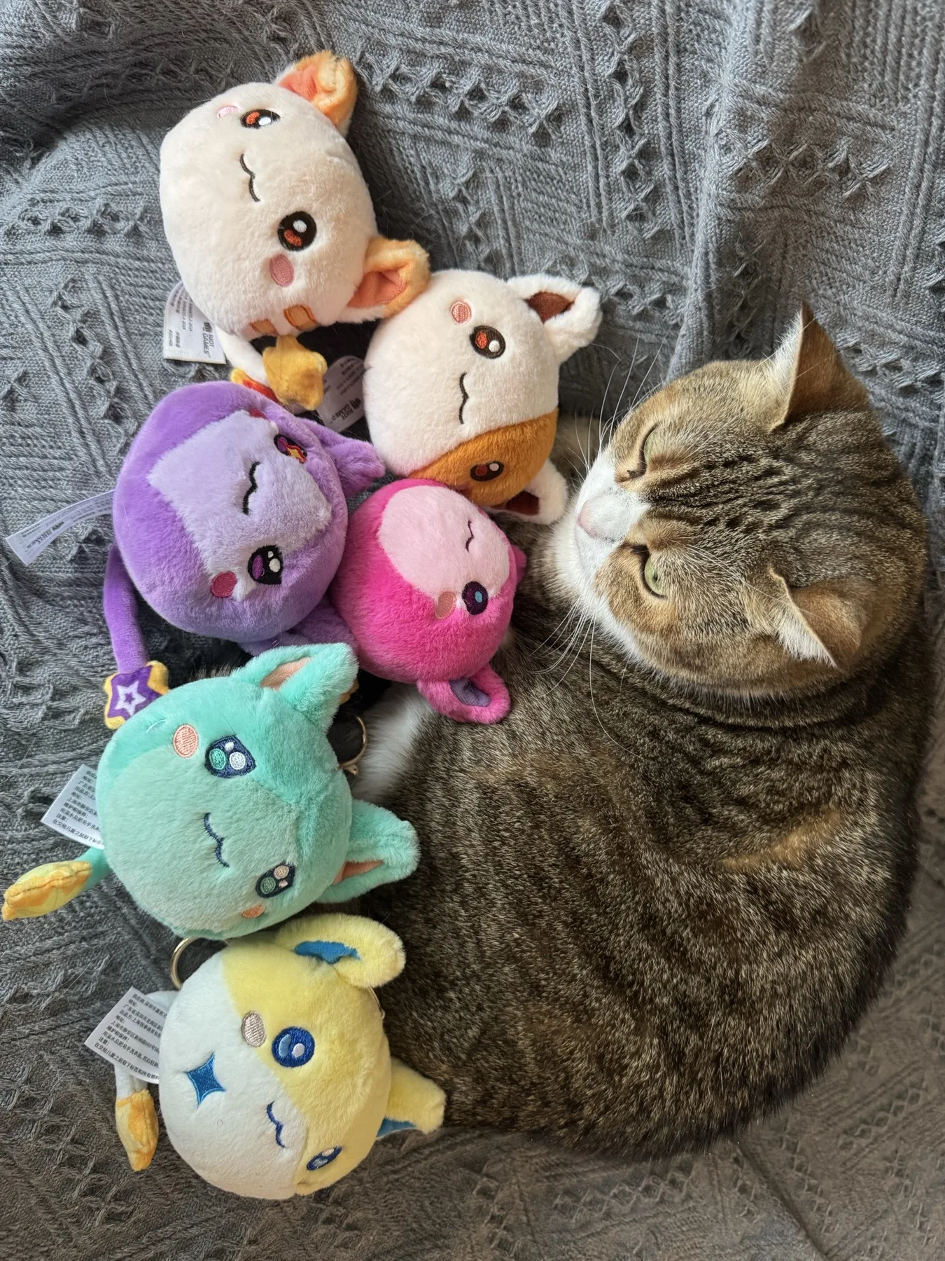 老嫚 relaxing with my collection of Dango plushies